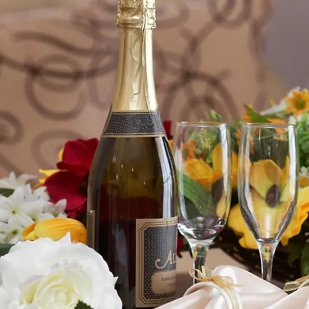 酒店 Elena And Wellness 4*