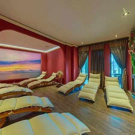 Elena And Wellness Готель 4*