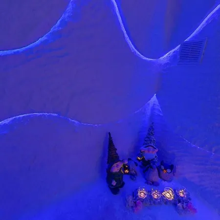 Elena And Wellness 酒店 金沙