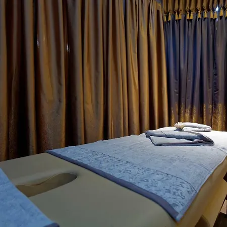 酒店 Elena And Wellness 4*